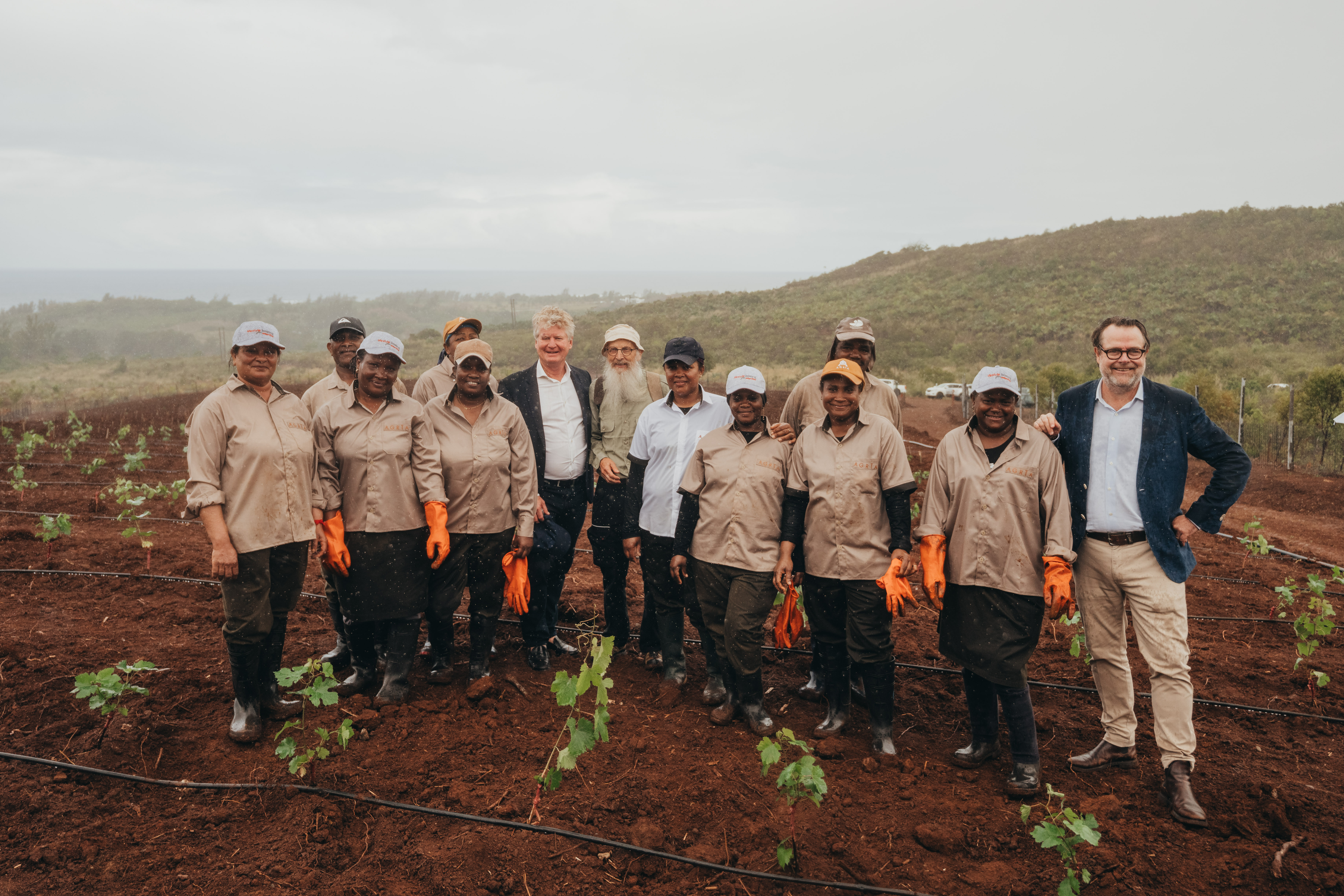 Viticulture in Bel Ombre: A new chapter in ER Group’s agricultural journey