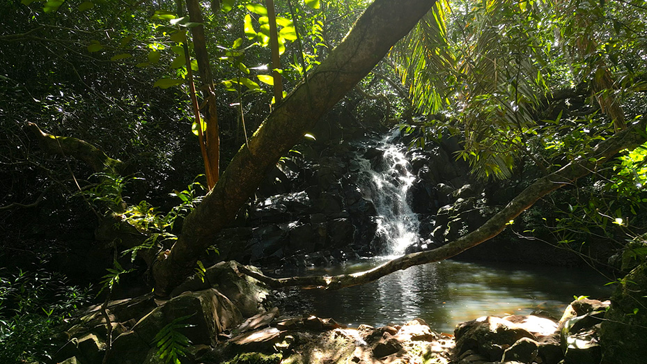 Cascade l'Exemple: A restoration project for the Jacotet watershed